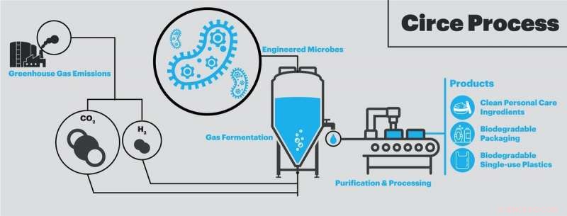 Microbial Engineering Yields Low-Cost, Eco-Friendly Biodegradable Plastics That Beat Plant-Based Alternatives