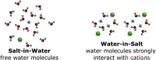 Water-in-Salt Electrolytes: A Promising Alternative to Organic Solvents in Batteries