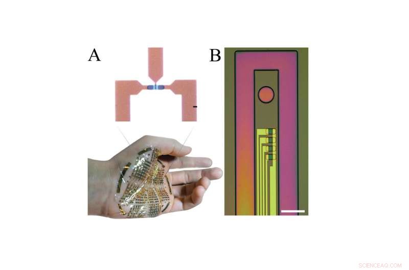 Advancing Bioelectronics: Flexible, High-Performance Devices in Two Key Steps