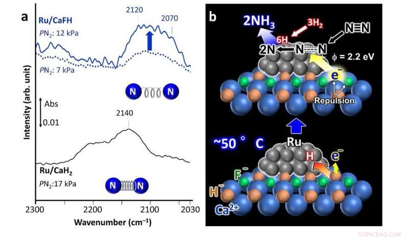 Sustainable Energy Solutions: Low‑Energy Ammonia Production for Global Food Security