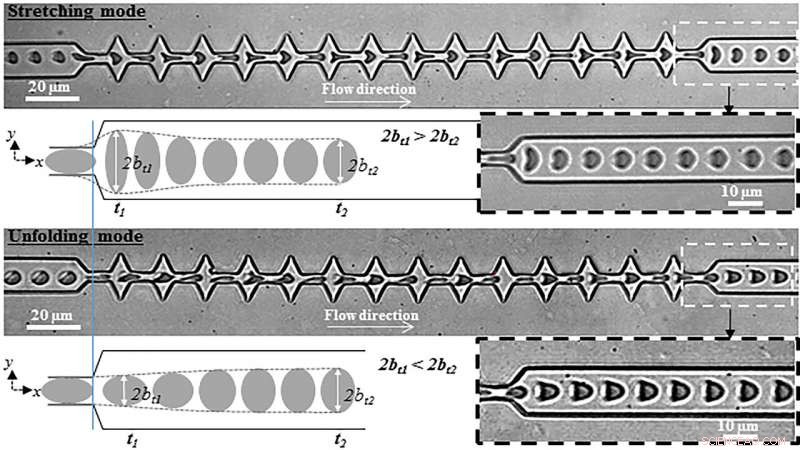 How Blood Cells Deform and Recover While Navigating Tiny Channels