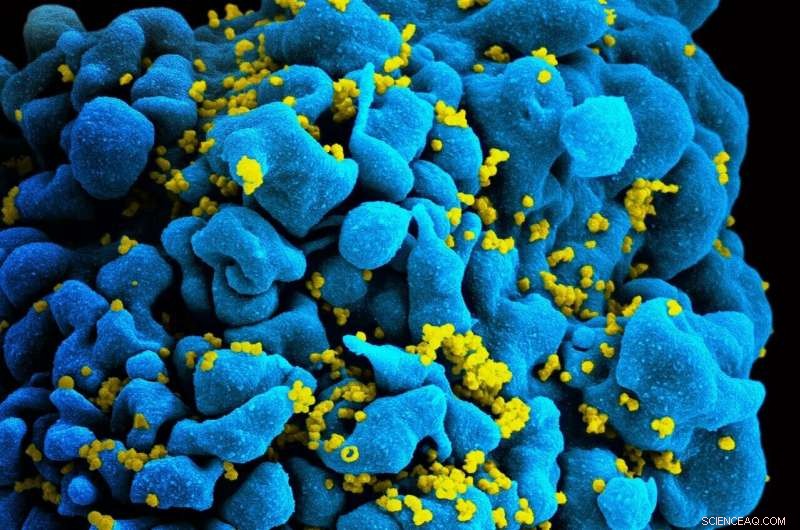 Rare Marine Molecule Drives Breakthrough in Cell Therapy and HIV Cure
