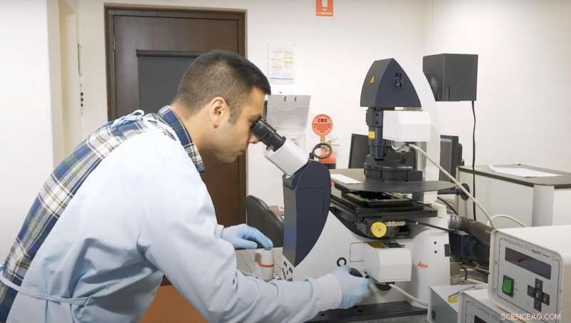 Revolutionary Nano‑Sensor Detects Iron Imbalances with Ultra‑Precision