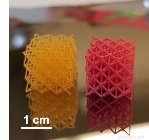 Revolutionary Hydrogel Lattice Coating Enhances Painting of 3‑D Printed Objects