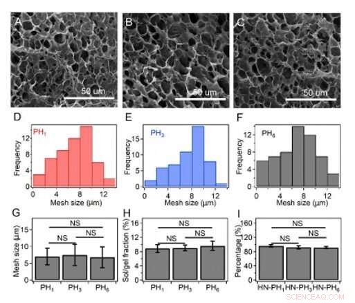 Engineering Metal‑Coordination Hydrogels for Superior Strength, Toughness, and Rapid Recovery