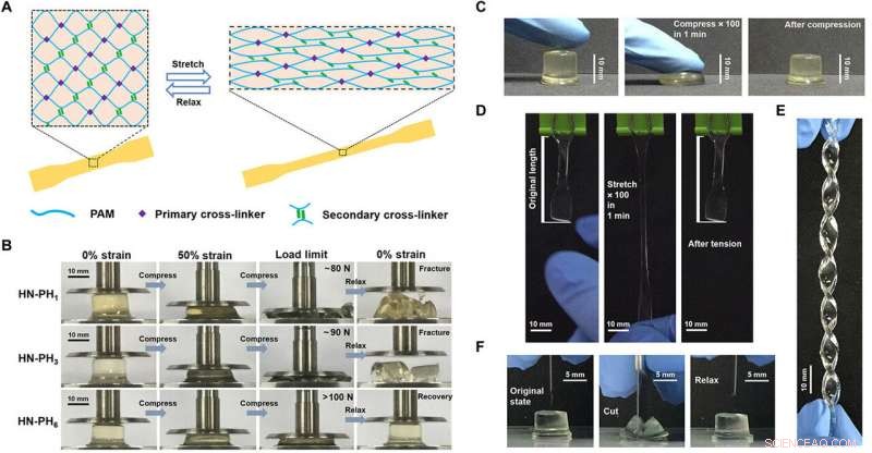 Engineering Metal‑Coordination Hydrogels for Superior Strength, Toughness, and Rapid Recovery