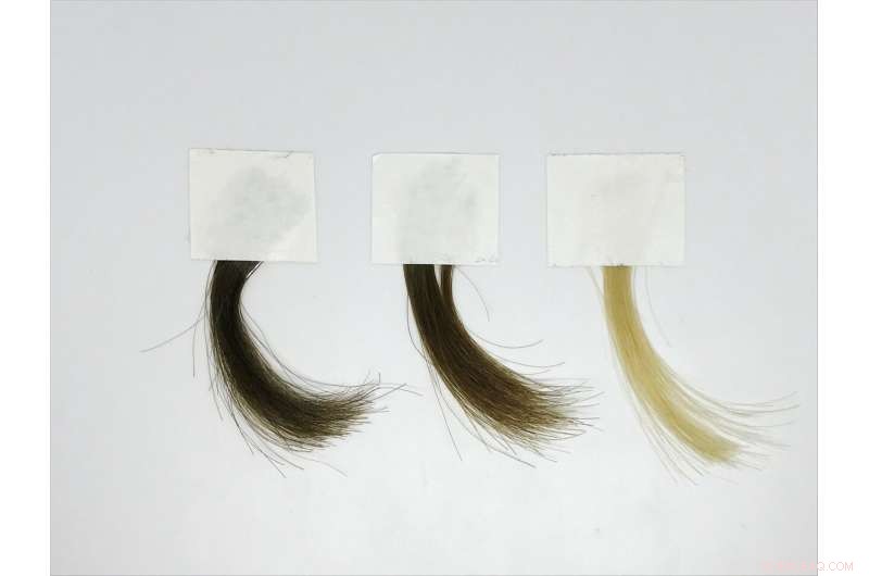 Gentle, Safer Synthetic Melanin Hair Dye for Healthy Hair Color