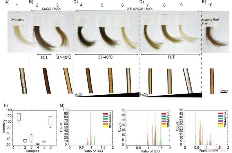 Gentle, Safer Synthetic Melanin Hair Dye for Healthy Hair Color