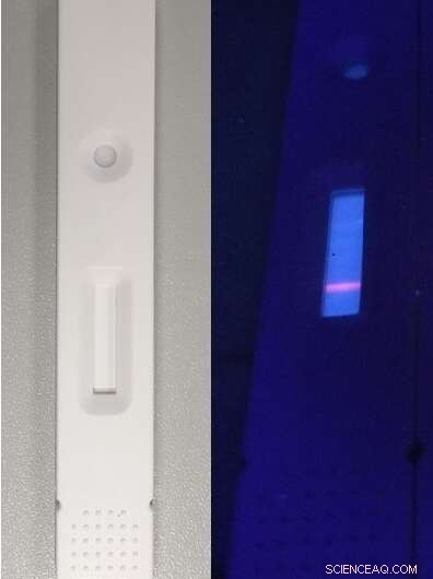 Rapid 10‑Minute SARS‑CoV‑2 Antibody Test Offers Unmatched Sensitivity