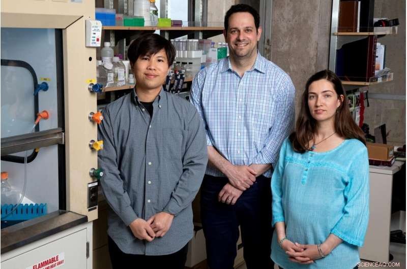 Enhancing Healthy Fat Levels via a Novel Drug Targeting Two Newly Identified Genes