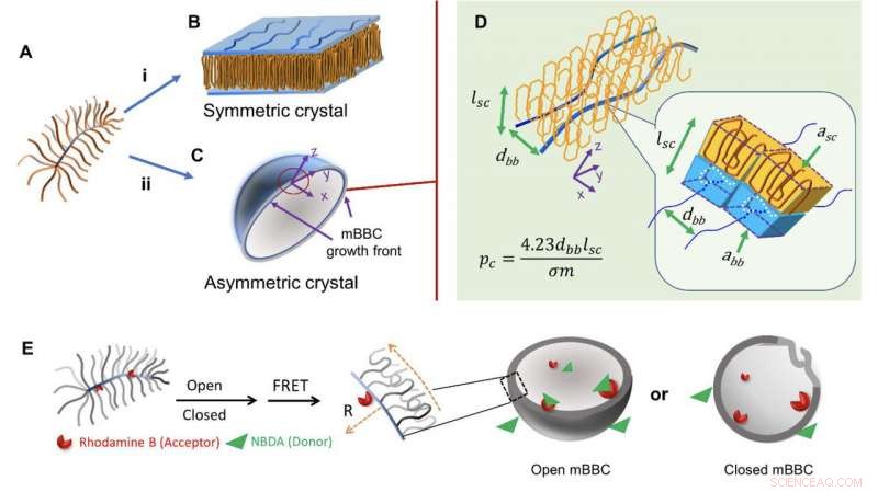 Leveraging Crystal Symmetry for Precise Drug Delivery