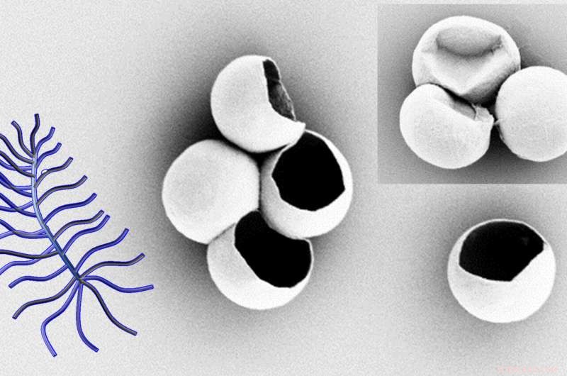 Leveraging Crystal Symmetry for Precise Drug Delivery