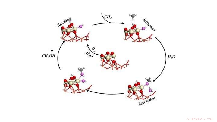 Water Enables Efficient Catalytic Conversion of Methane to Methanol