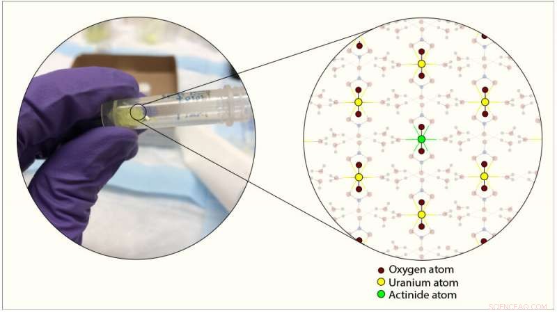 New Study Unveils One-Step Process for Efficient Nuclear Fuel Recycling
