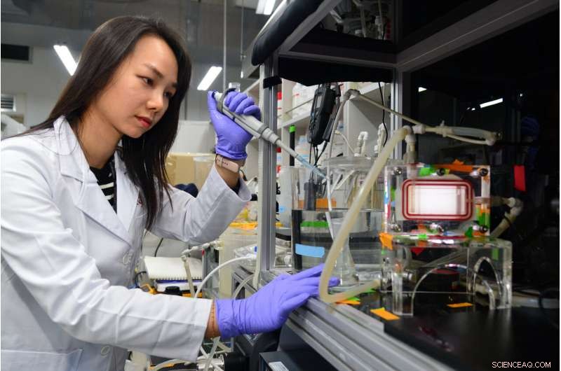 Magnesium Boosts Stability of Desalination Membranes, Reducing Fouling