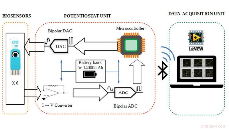 Bluetooth‑Enabled Sensor System Monitors Fermentation Continuously Over Days
