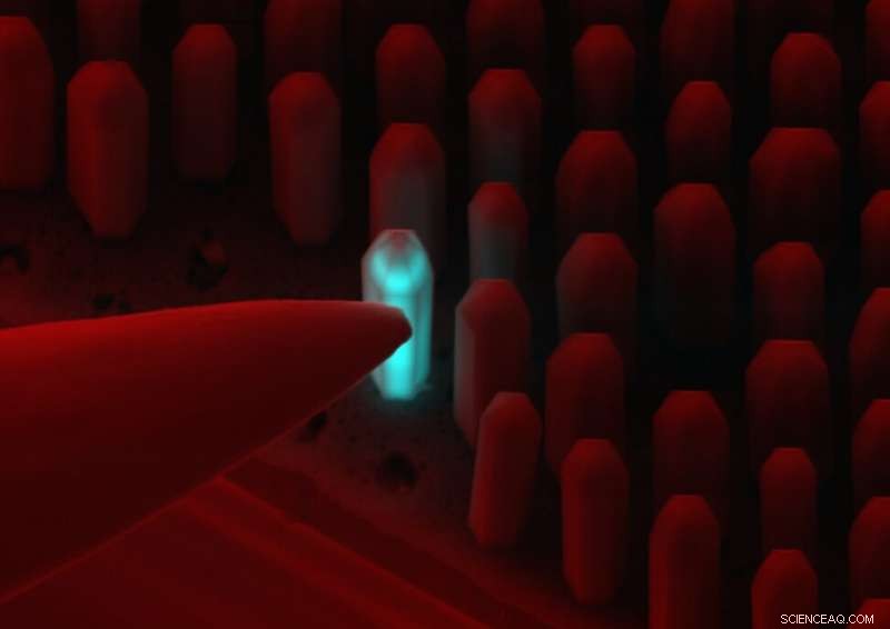 Chip‑Scale Microscopes: Expanding Expert Diagnostics to Remote Patients