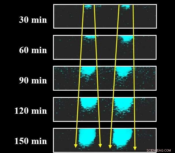Fluorescence Technique Illuminates Aging in Polymers