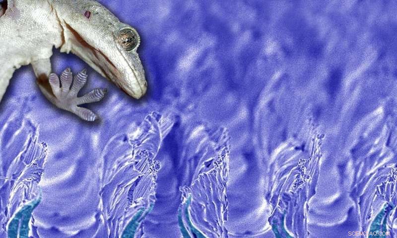 Mass-Production of Gecko-Inspired Adhesive Surfaces Now Within Reach