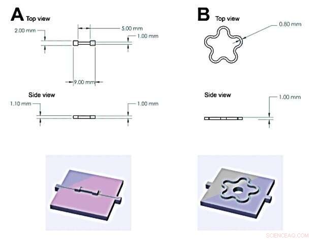 Engineering Protein Hydrogels: Cation‑Triggered Shape Programming and Morphing