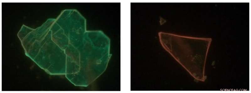 Chameleon Perovskite Materials: Unraveling Color Variations in Low‑Dimensional Structures