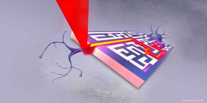 Illuminating Cellular Pathways: Light-Patterned Guidance for Living Cells