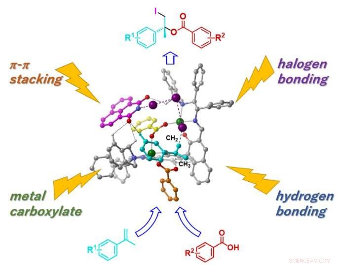 Highly Enantioselective Iodoesterification of Simple Alkenes Using Concerto Catalyst