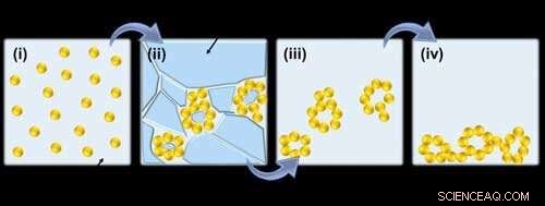 Advanced Multi-Scale Structured Materials for Enhanced Electrocatalysis and Photoelectrocatalysis
