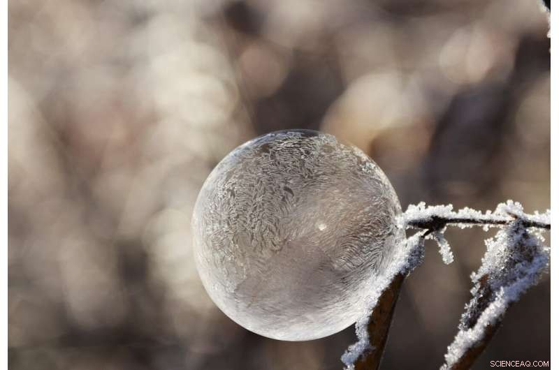 Self‑Flipping Crystal Developed by Hokkaido University Scientists