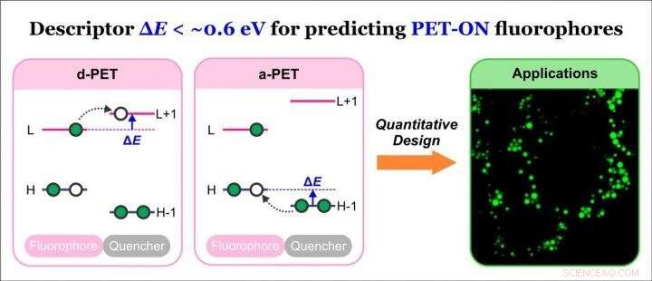 New Descriptor Drives Breakthroughs in PET Fluorescent Probe Design