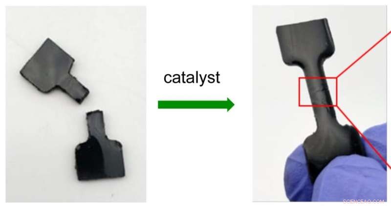 Revolutionary Self‑Repairing Rubber from Waste: Broad Industrial Applications