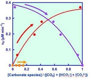 Formate Dehydrogenase Enables CO₂ Reduction to Formic Acid—A Leap in Sustainable Chemistry
