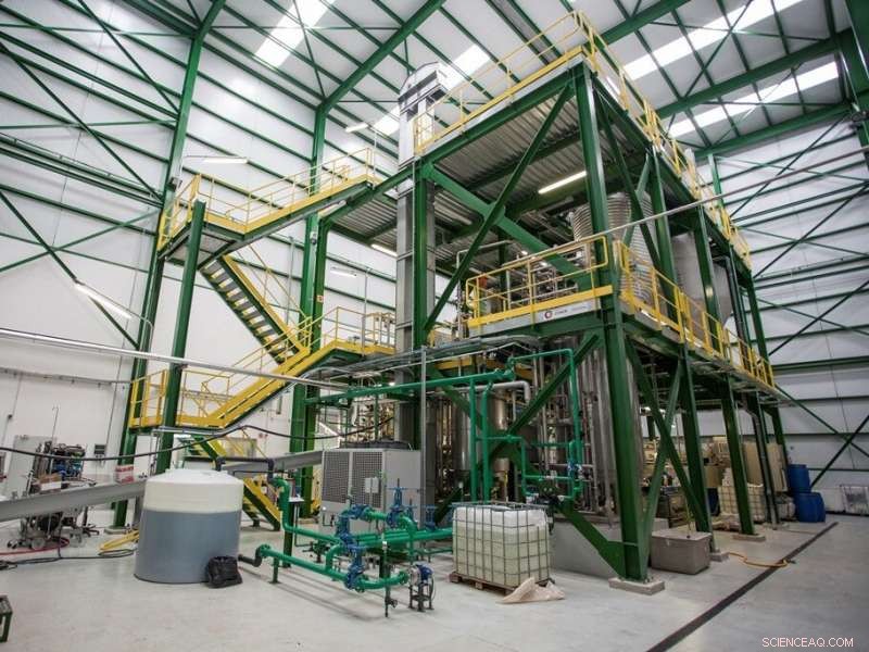 Unlocking Food Waste Value: Turning Sugars into Market‑Ready Products