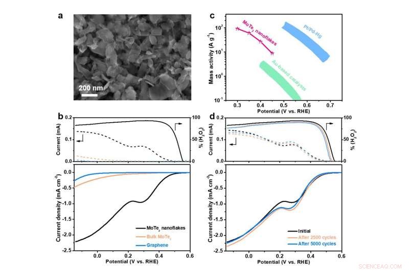 Selective Electrochemical Hydrogen Peroxide Production with Molybdenum Telluride Nanosheets
