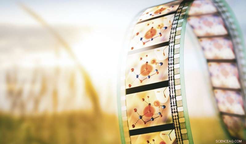 Decoding a Crucial Step in Photosynthetic Oxygen Production