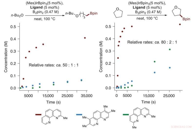 Iridium Complexes with 2-Methylphenanthroline Catalyze Efficient Borylation Reactions