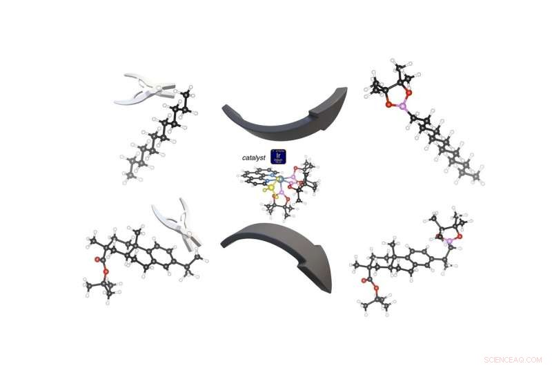 Iridium Complexes with 2-Methylphenanthroline Catalyze Efficient Borylation Reactions