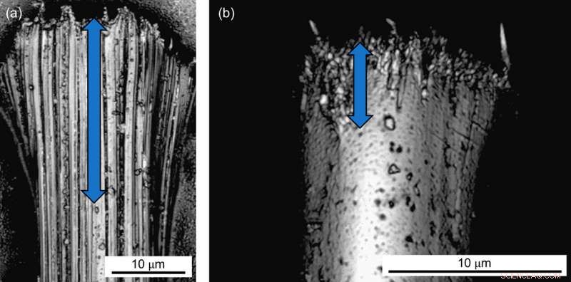 New Research Uncovers Key Insights into Failure of High-Performance Fibers