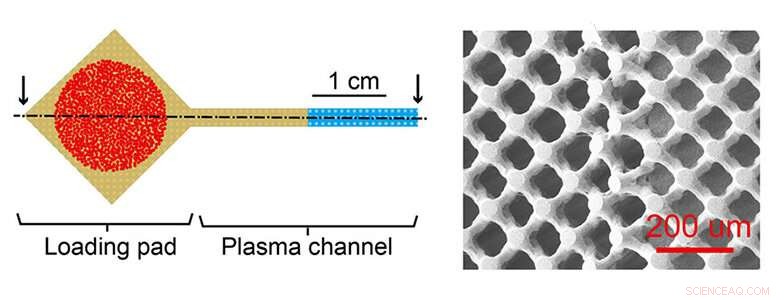 New Blood Test Strip Captures Clues Missed by Traditional Tests