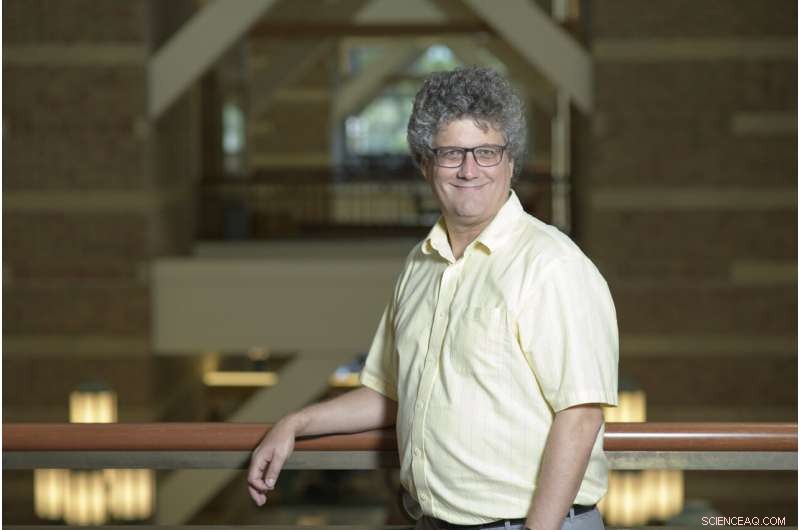 Precise Quantification and Localization of Brain Lipids