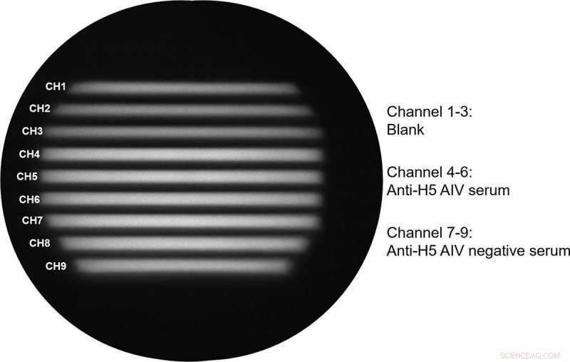 Rapid 20-Minute Detection of Avian Influenza Antibodies with Novel Microfluidic Technology