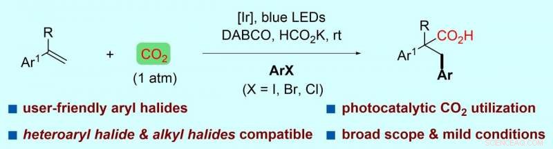 Efficient Visible-Light-Promoted Arylcarboxylation of Styrenes Using CO₂ and Aryl Halides