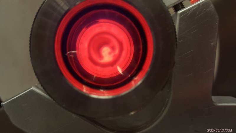 Platinum-Free Catalysts: The Key to Affordable Hydrogen Fuel Cells