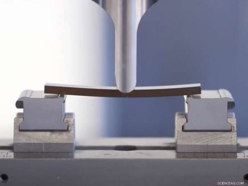 Unlocking Lignin: A Path to Sustainable, Bio-Based Alternatives to Plastic