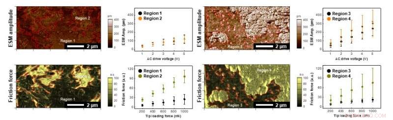 Advanced Visualization of Functional Components in Composite Electrodes