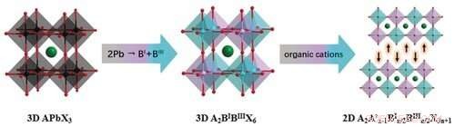 Eco-Friendly Halide Double Perovskite Ferroelectrics Developed for Advanced Electronics