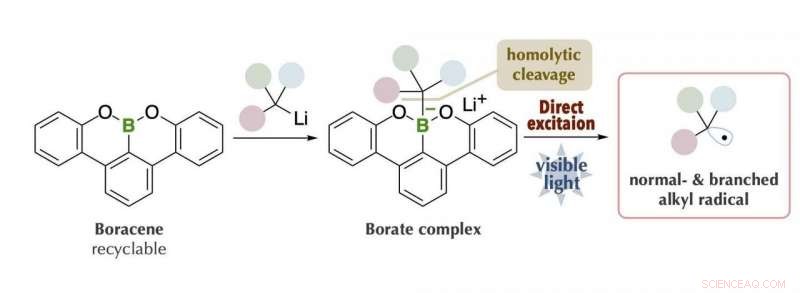 Innovative Visible-Light Catalyzed Organic Synthesis with Organoboron Compounds
