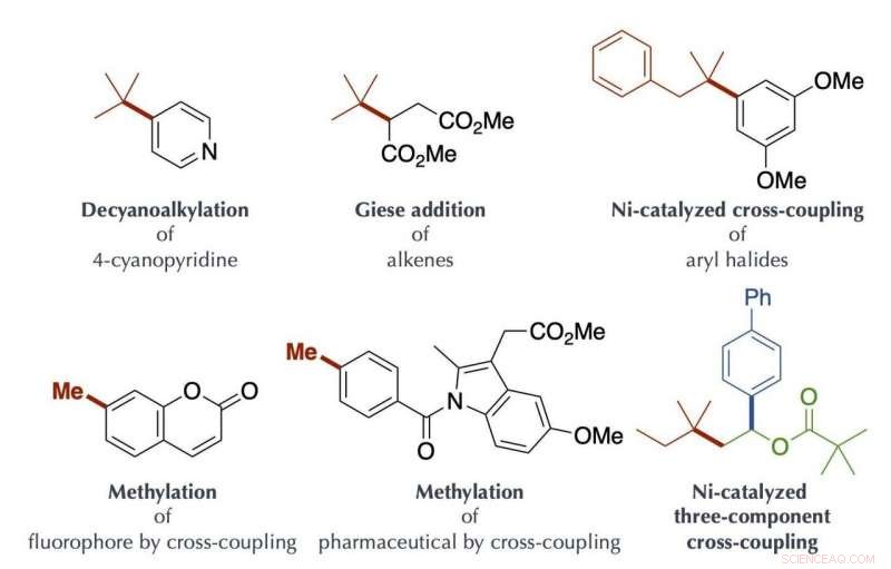 Innovative Visible-Light Catalyzed Organic Synthesis with Organoboron Compounds