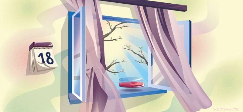 Scientists Pinpoint Optimal Age for Reprogrammed Stem Cells