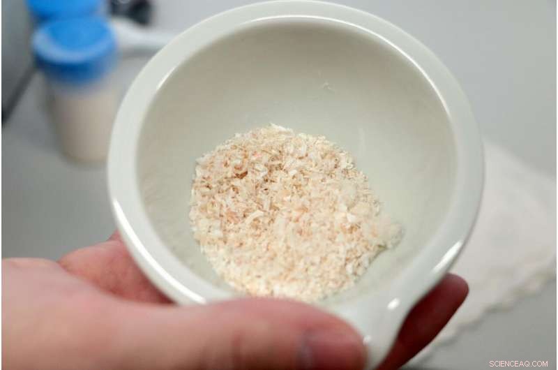 Crustaceans in Wound Healing: A Promising New Frontier in Medicine